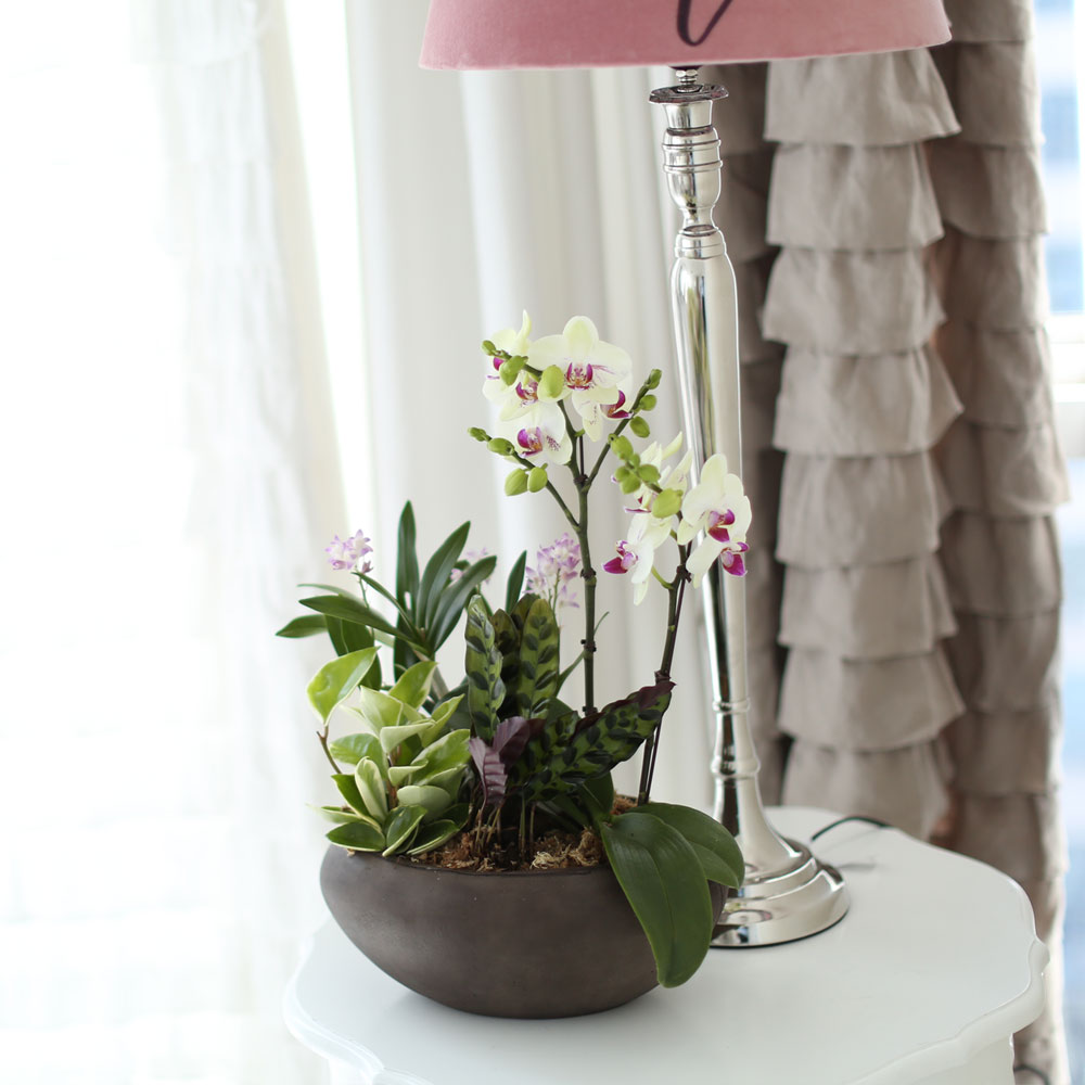 ü ӹ ϴ ǳ Ĺ - Ƹٿ  ׸