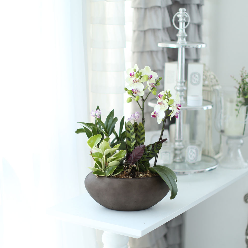 ü ӹ ϴ ǳ Ĺ - Ƹٿ  ׸