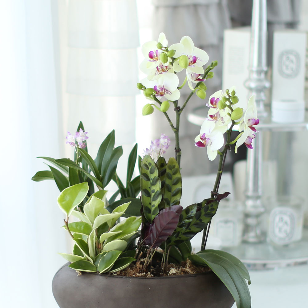 ü ӹ ϴ ǳ Ĺ - Ƹٿ  ׸