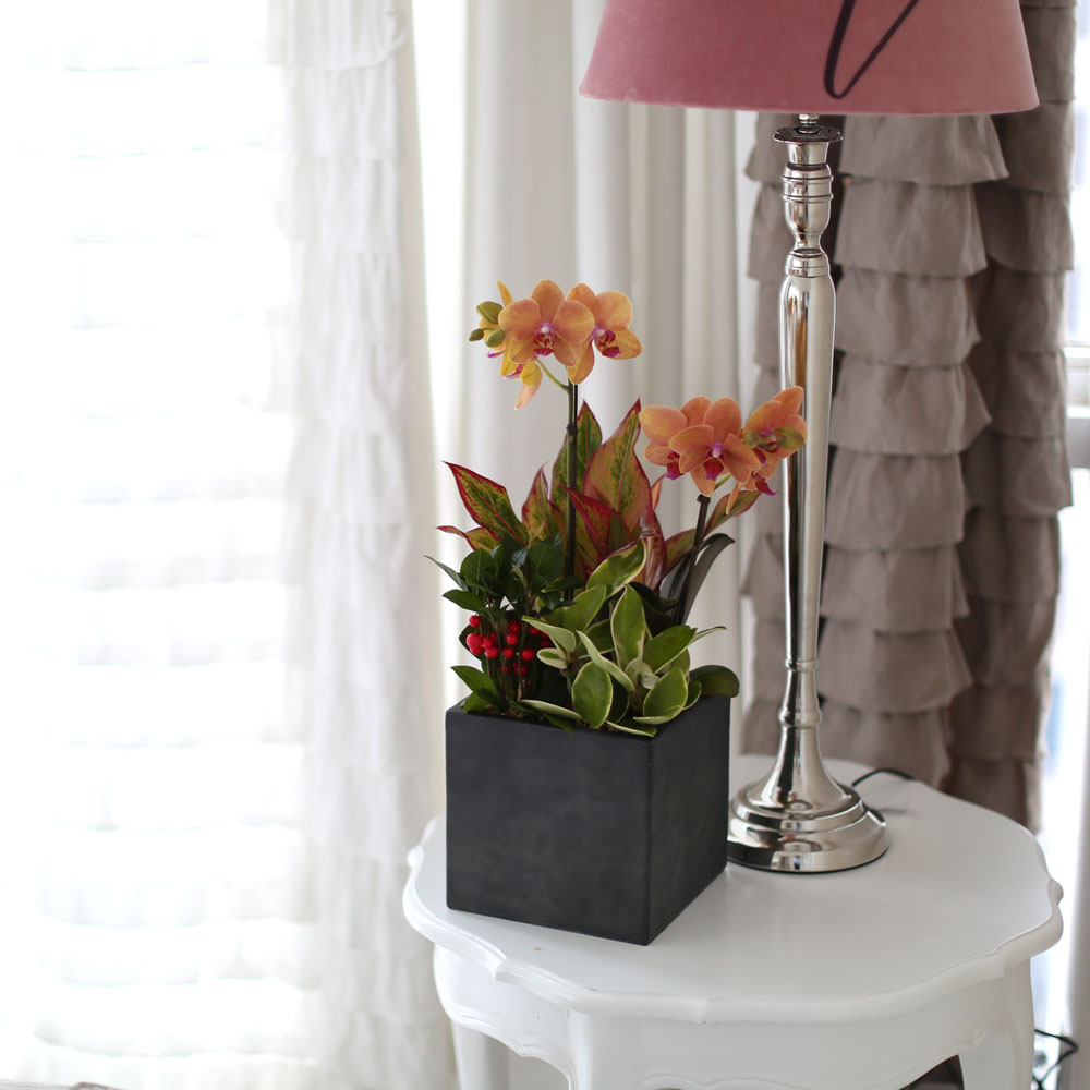 ü ӹ ϴ ǳ Ĺ -  ȭп ϰ  Ȳ ȣ  ɹ