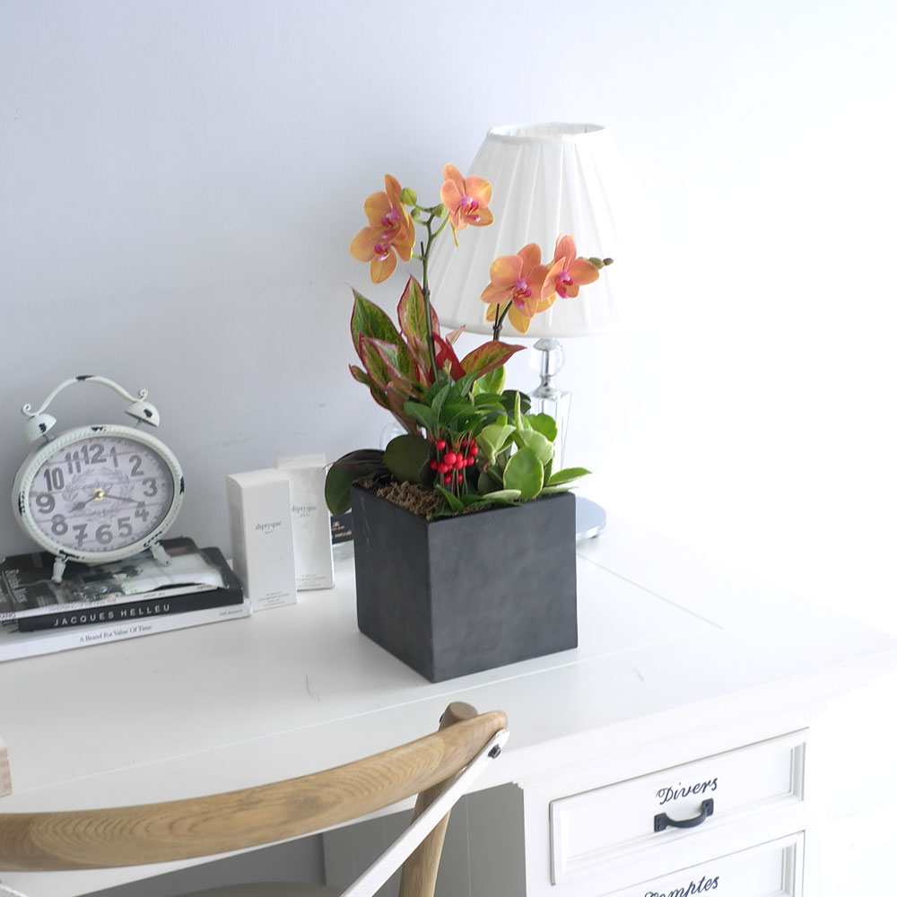 ü ӹ ϴ ǳ Ĺ -  ȭп ϰ  Ȳ ȣ  ɹ