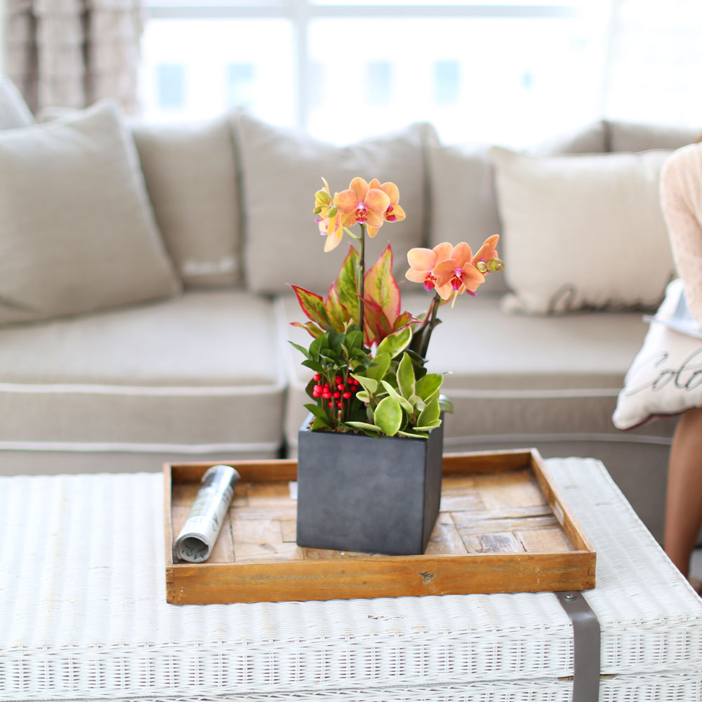 ü ӹ ϴ ǳ Ĺ -  ȭп ϰ  Ȳ ȣ  ɹ