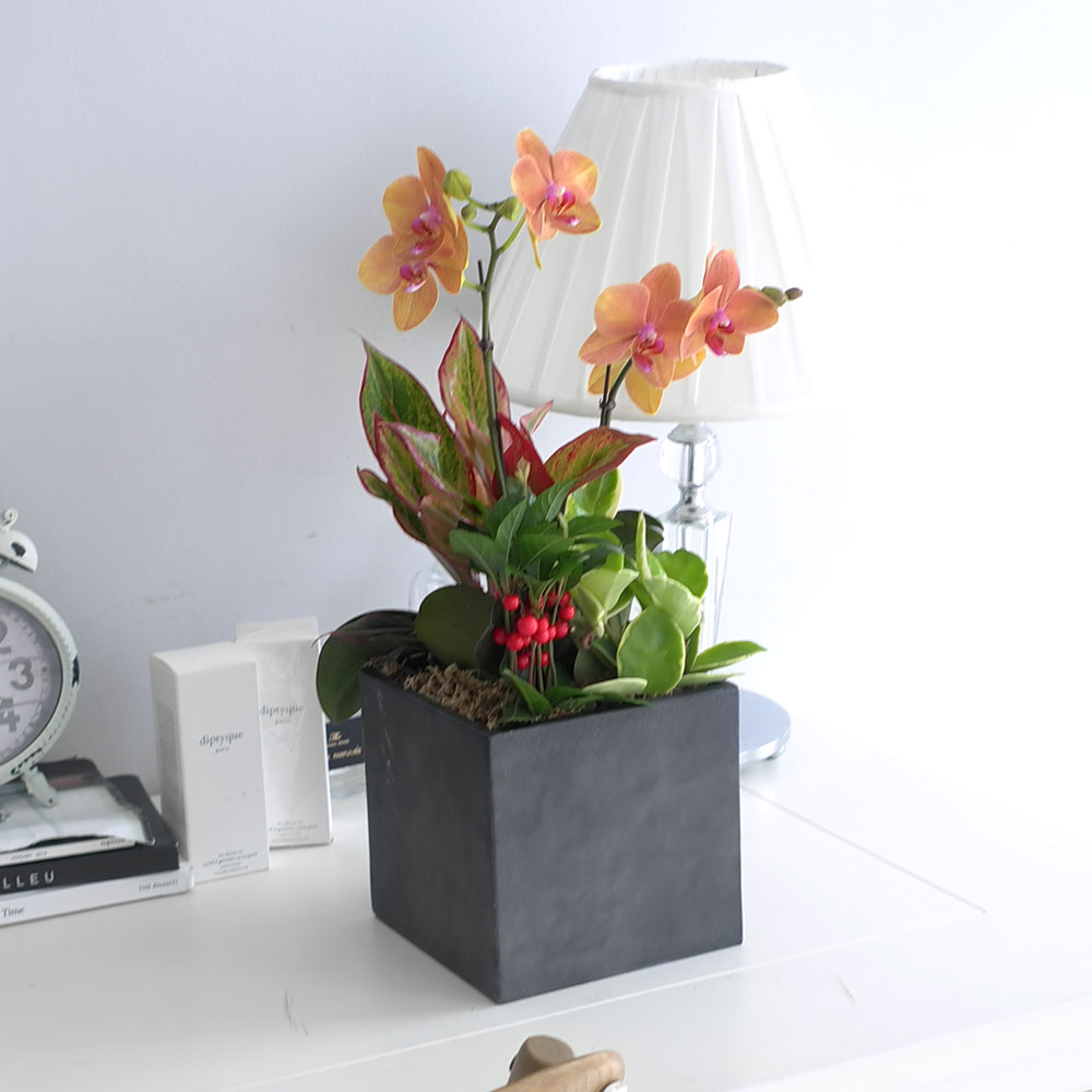 ü ӹ ϴ ǳ Ĺ -  ȭп ϰ  Ȳ ȣ  ɹ