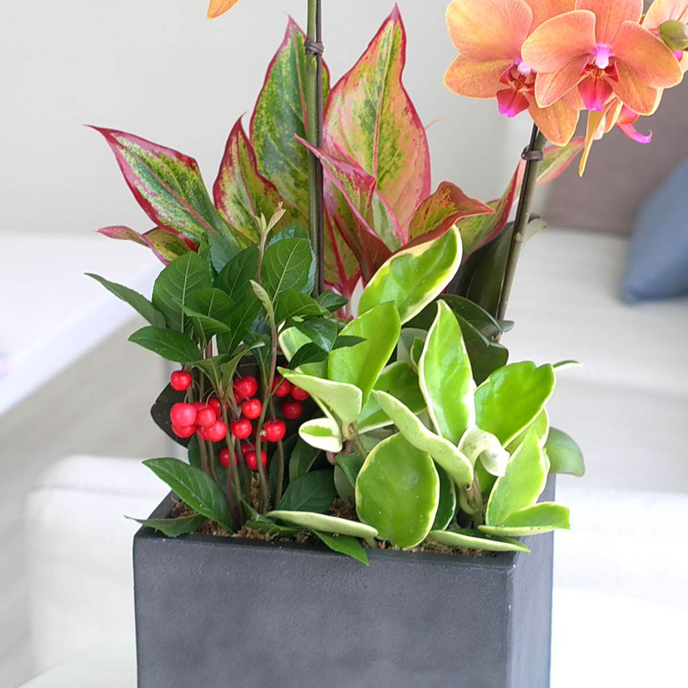 ü ӹ ϴ ǳ Ĺ -  ȭп ϰ  Ȳ ȣ  ɹ