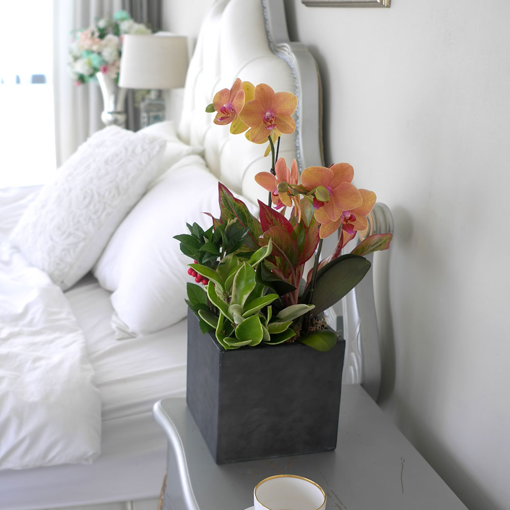 ü ӹ ϴ ǳ Ĺ -  ȭп ϰ  Ȳ ȣ  ɹ