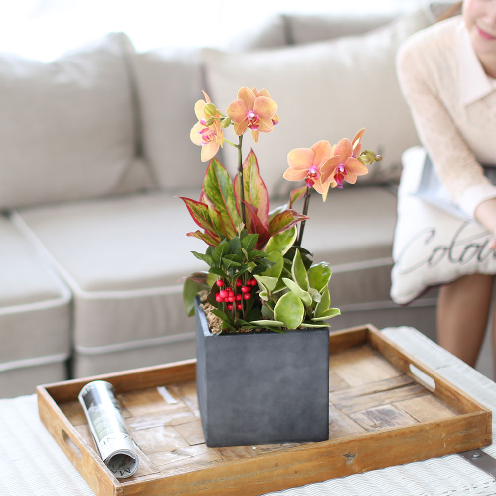 ü ӹ ϴ ǳ Ĺ -  ȭп ϰ  Ȳ ȣ  ɹ