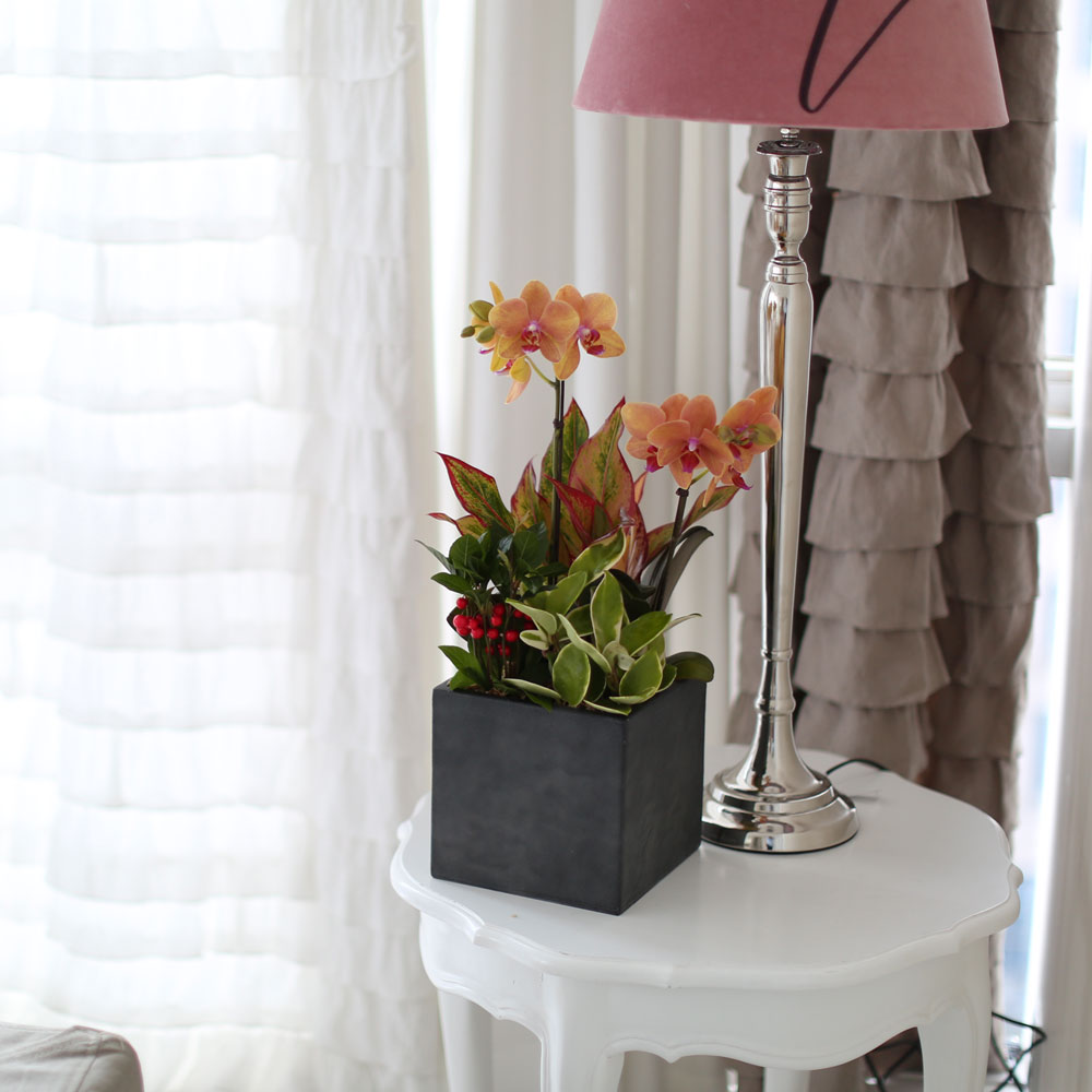 ü ӹ ϴ ǳ Ĺ -  ȭп ϰ  Ȳ ȣ  ɹ