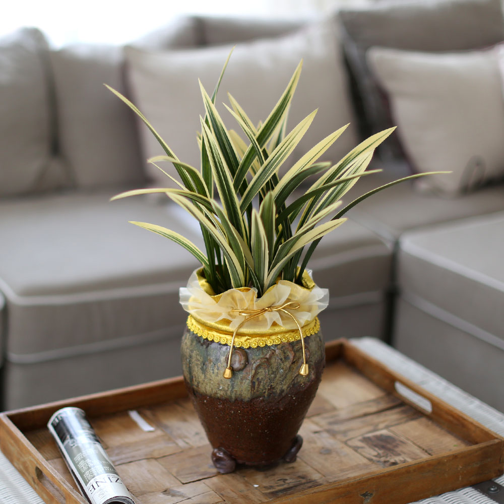 ü ӹ ϴ ǳ Ĺ - ׾Ƹ ȭ⿡  ޵(Ȳ)  ɹ