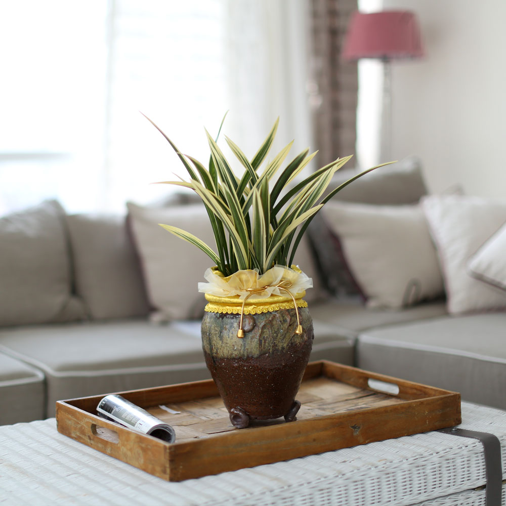 ü ӹ ϴ ǳ Ĺ - ׾Ƹ ȭ⿡  ޵(Ȳ)  ɹ