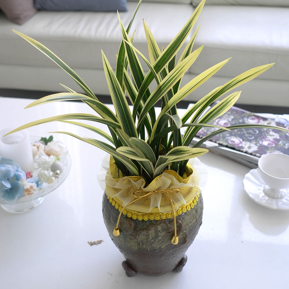 ü ӹ ϴ ǳ Ĺ - ׾Ƹ ȭ⿡  ޵(Ȳ)  ɹ