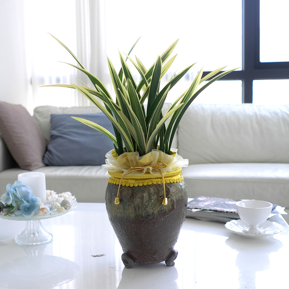 ü ӹ ϴ ǳ Ĺ - ׾Ƹ ȭ⿡  ޵(Ȳ)  ɹ