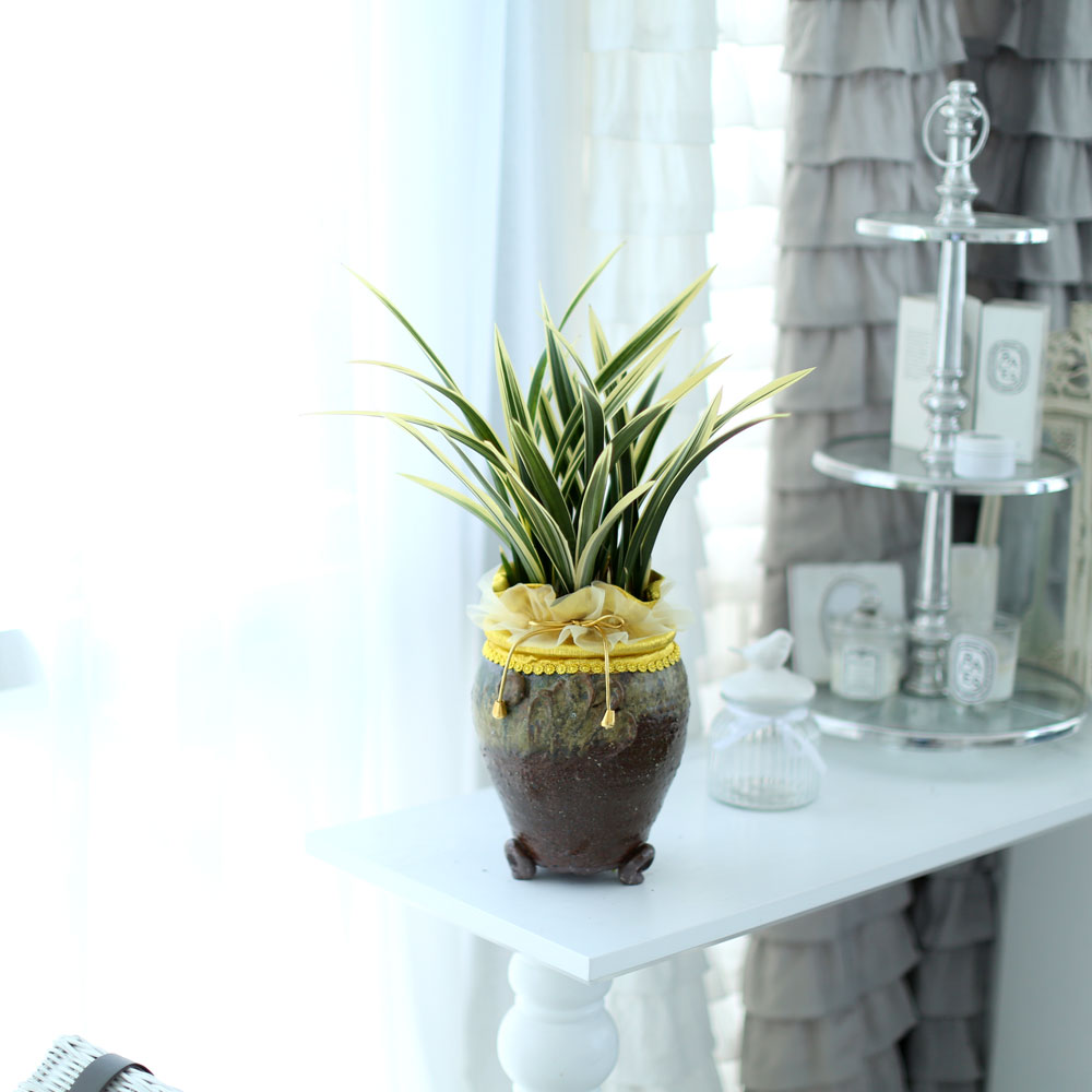 ü ӹ ϴ ǳ Ĺ - ׾Ƹ ȭ⿡  ޵(Ȳ)  ɹ