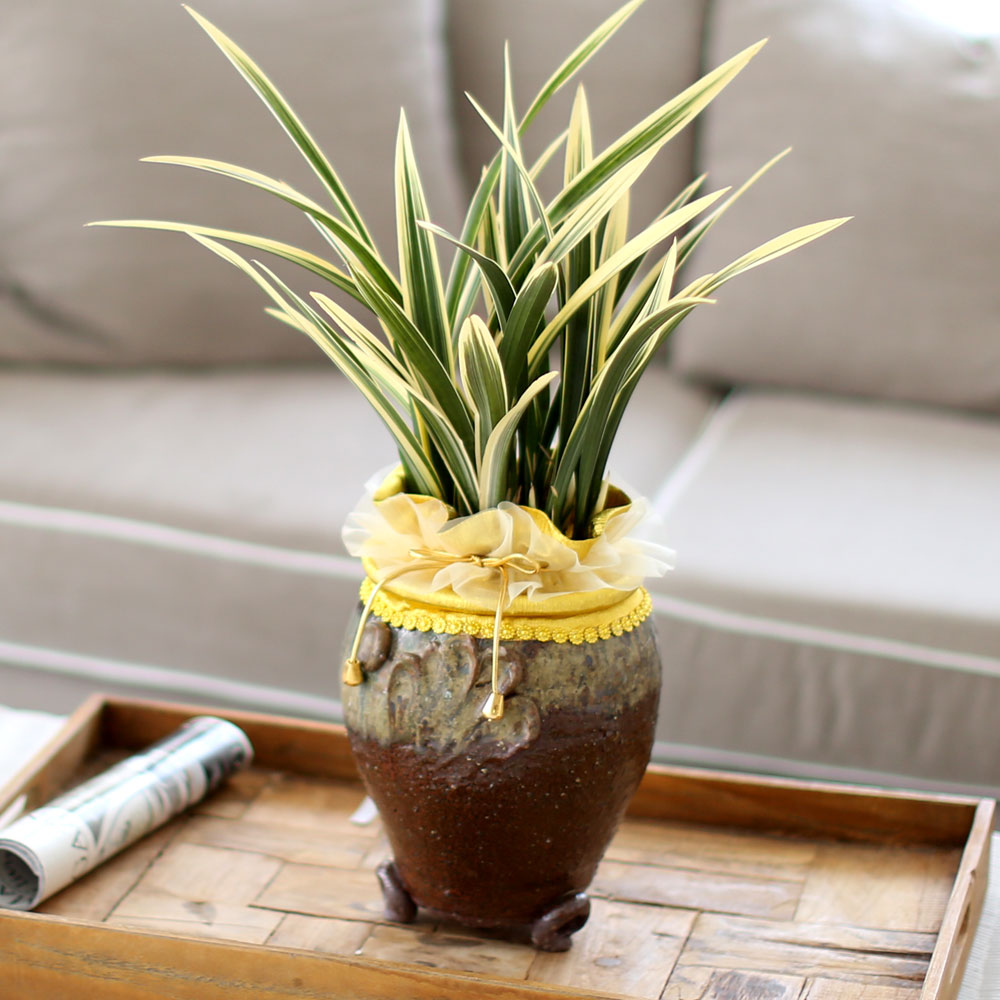 ü ӹ ϴ ǳ Ĺ - ׾Ƹ ȭ⿡  ޵(Ȳ)  ɹ