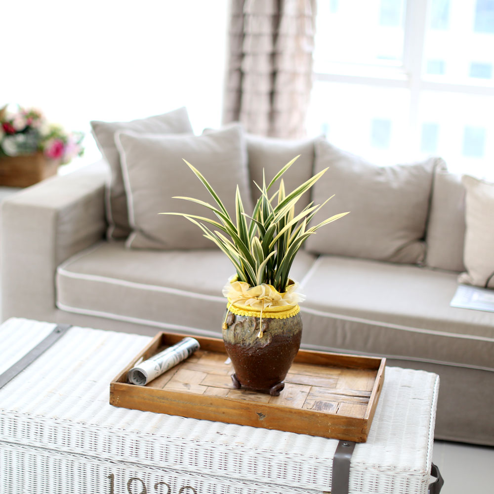 ü ӹ ϴ ǳ Ĺ - ׾Ƹ ȭ⿡  ޵(Ȳ)  ɹ