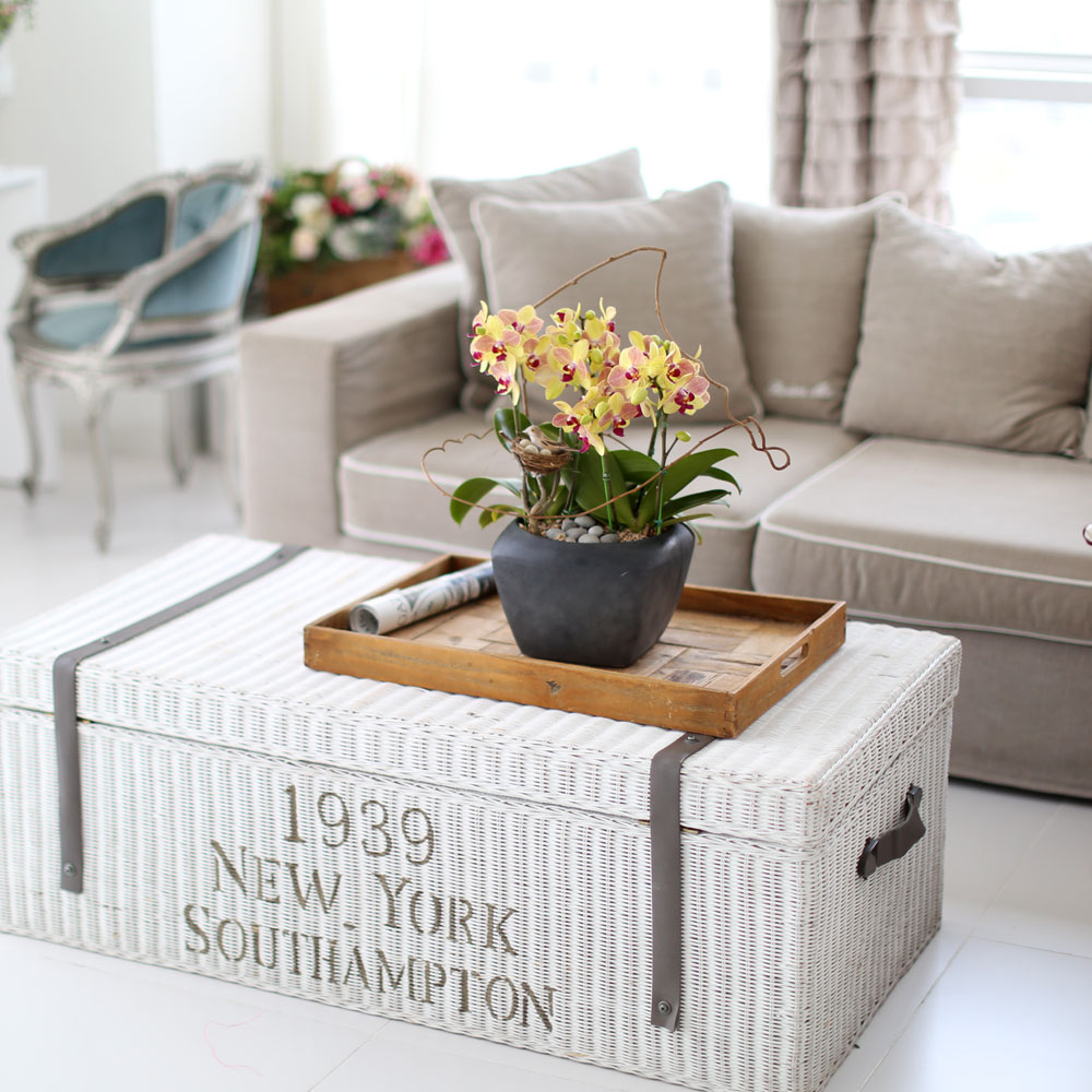 ü ӹ ϴ ǳ Ĺ -  ȭ  Ƹٿ  ȣ