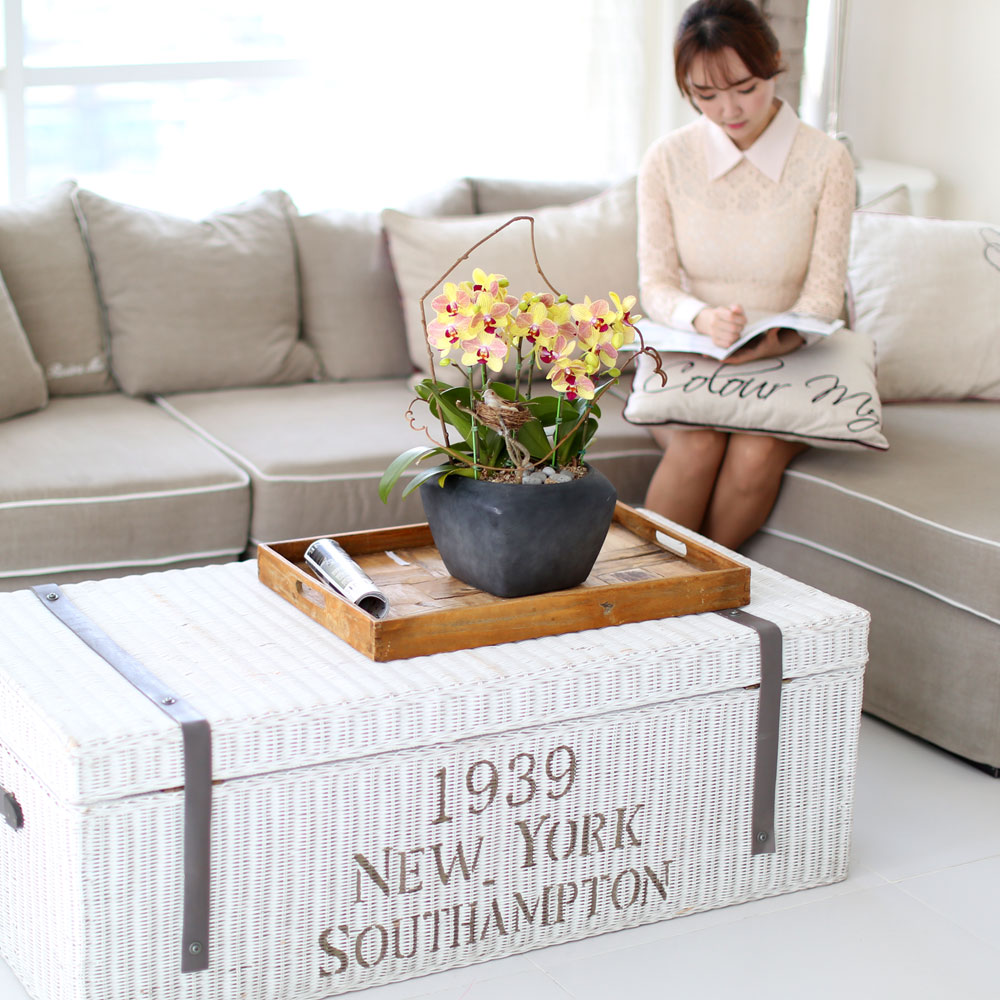 ü ӹ ϴ ǳ Ĺ -  ȭ  Ƹٿ  ȣ