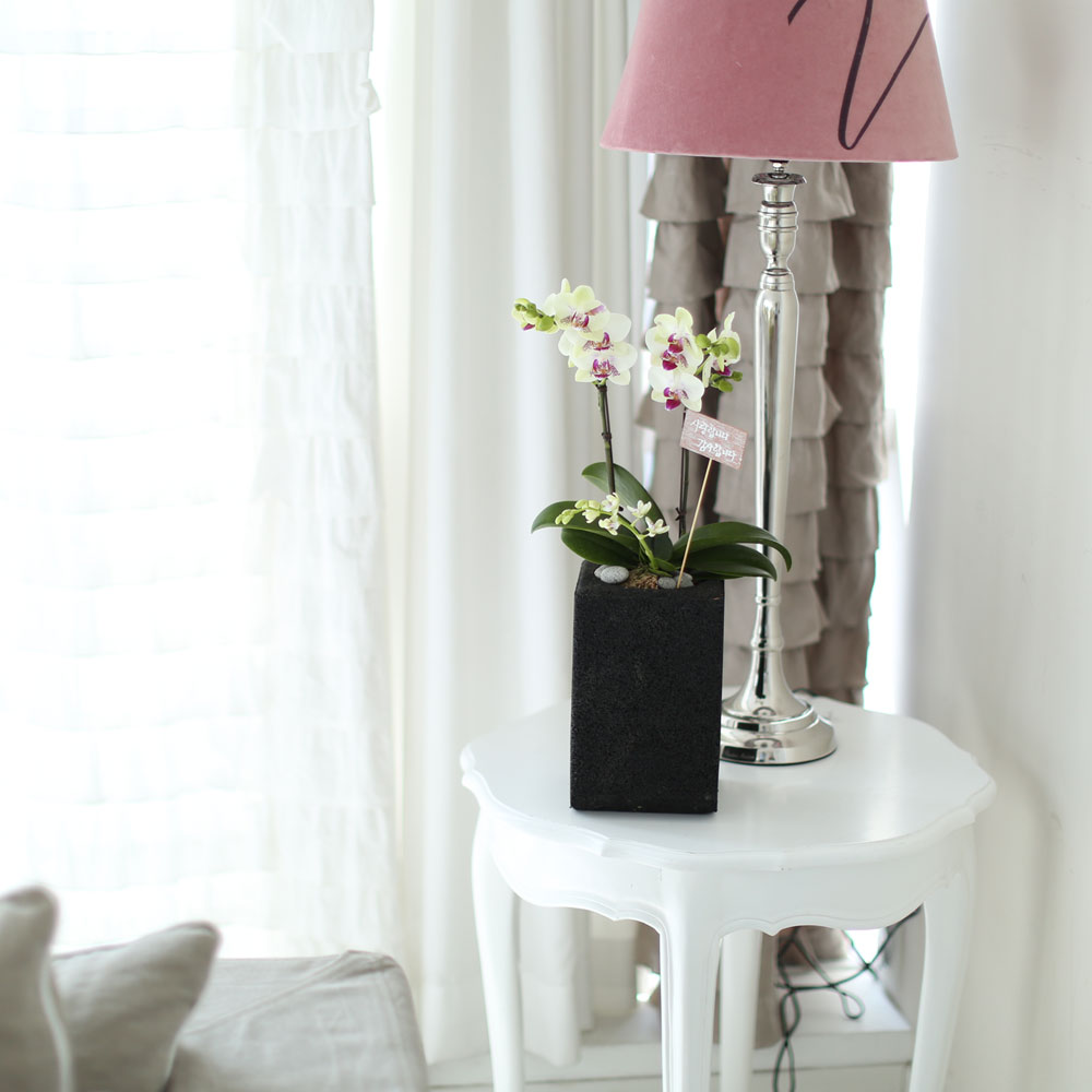 ü ӹ ϴ ǳ Ĺ -  Ȱ   ׸ (ȭǰ ȭ ü)  ɹ