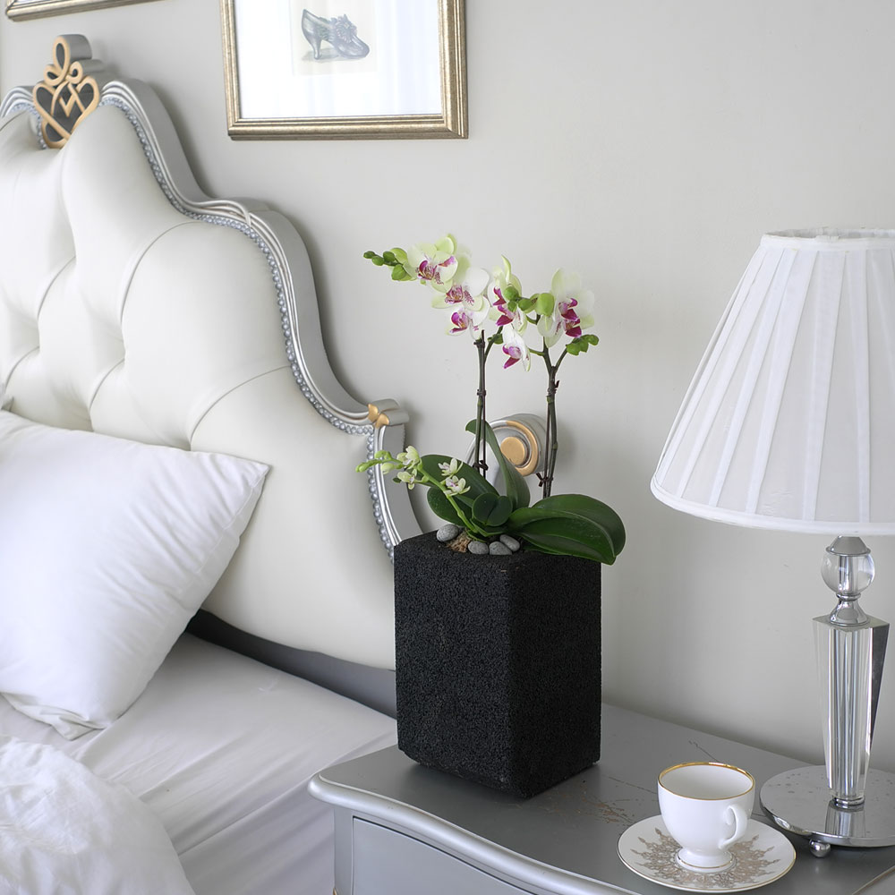 ü ӹ ϴ ǳ Ĺ -  Ȱ   ׸ (ȭǰ ȭ ü)  ɹ