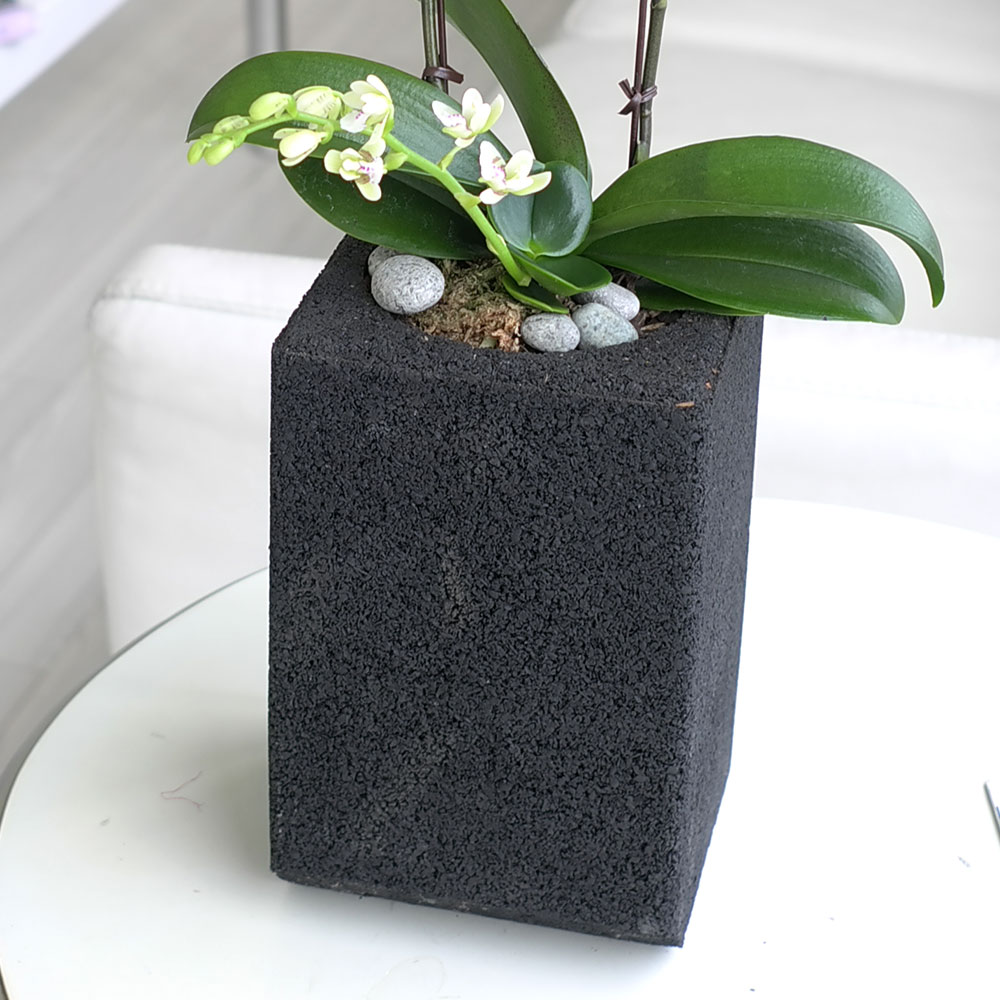 ü ӹ ϴ ǳ Ĺ -  Ȱ   ׸ (ȭǰ ȭ ü)  ɹ