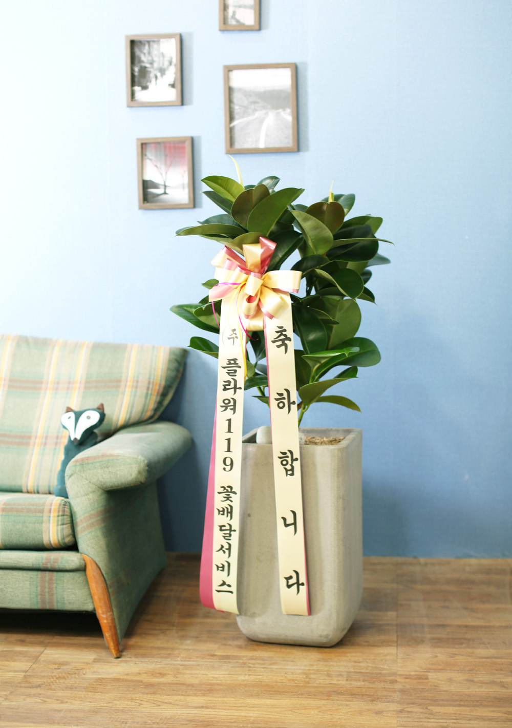 鿪 淯ִ - ǰϼ. ǰ   ɹ