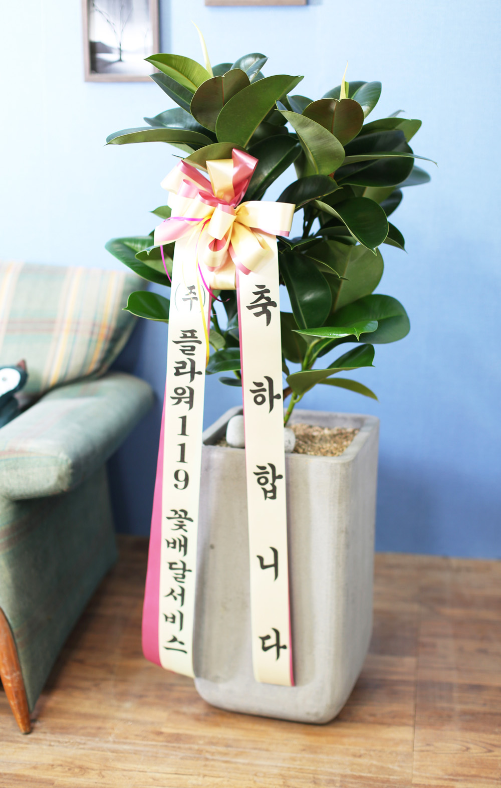 鿪 淯ִ - ǰϼ. ǰ   ɹ