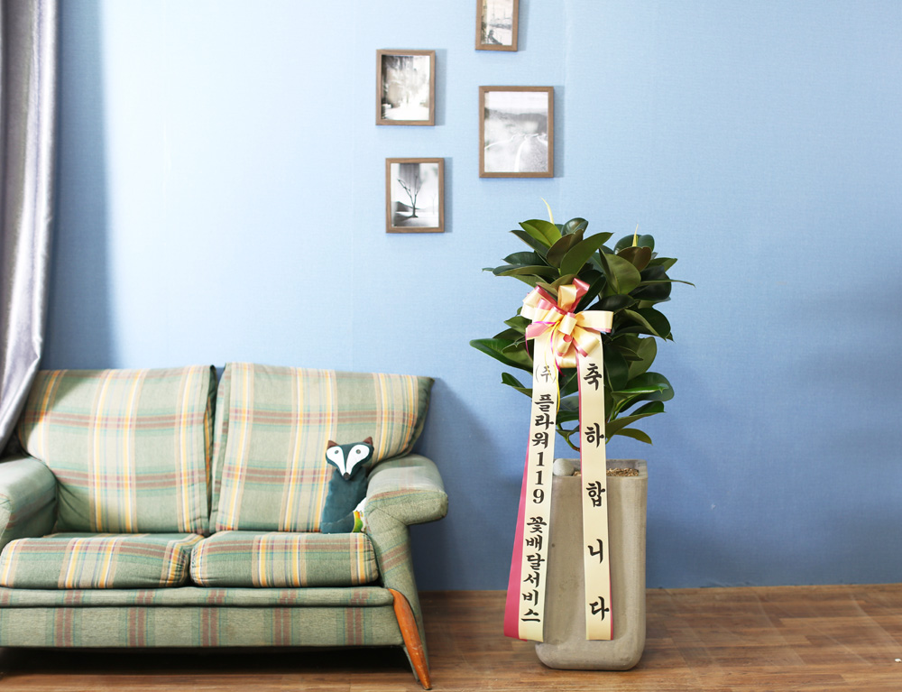 鿪 淯ִ - ǰϼ. ǰ   ɹ