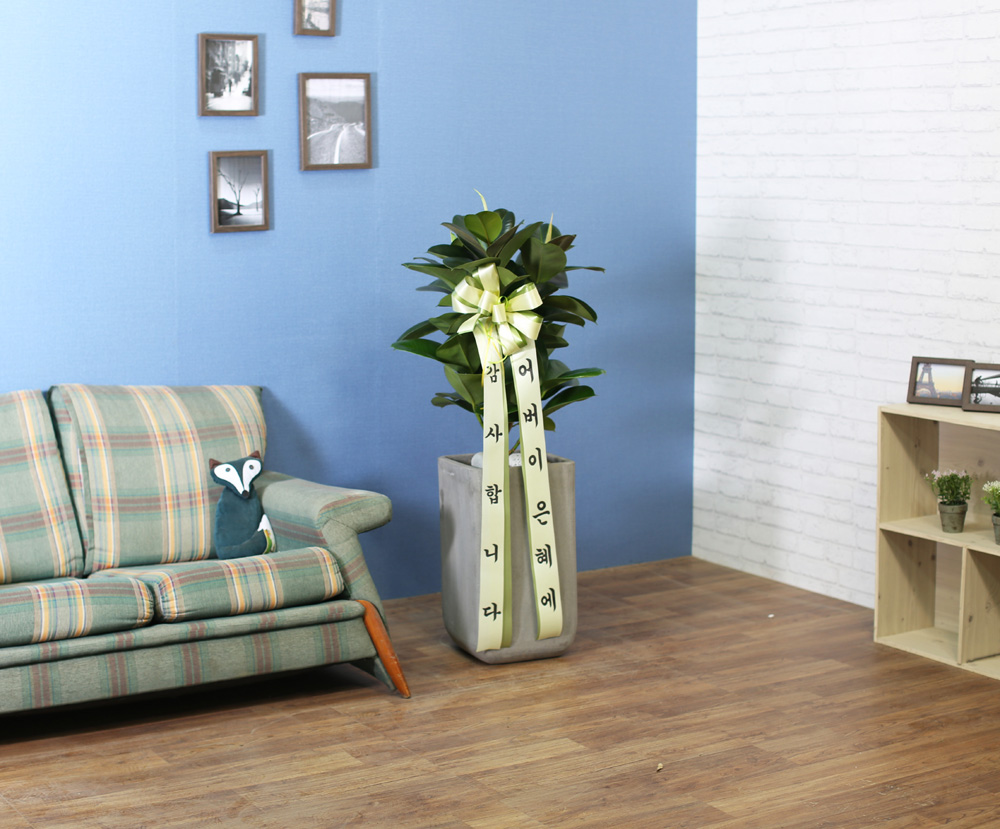 鿪 淯ִ - ǰϼ. ǰ   ɹ