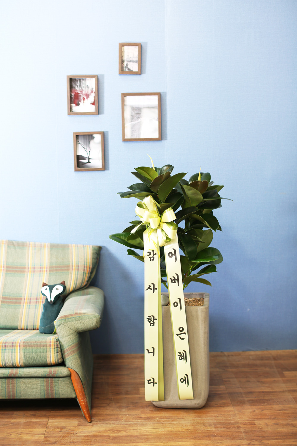 鿪 淯ִ - ǰϼ. ǰ   ɹ