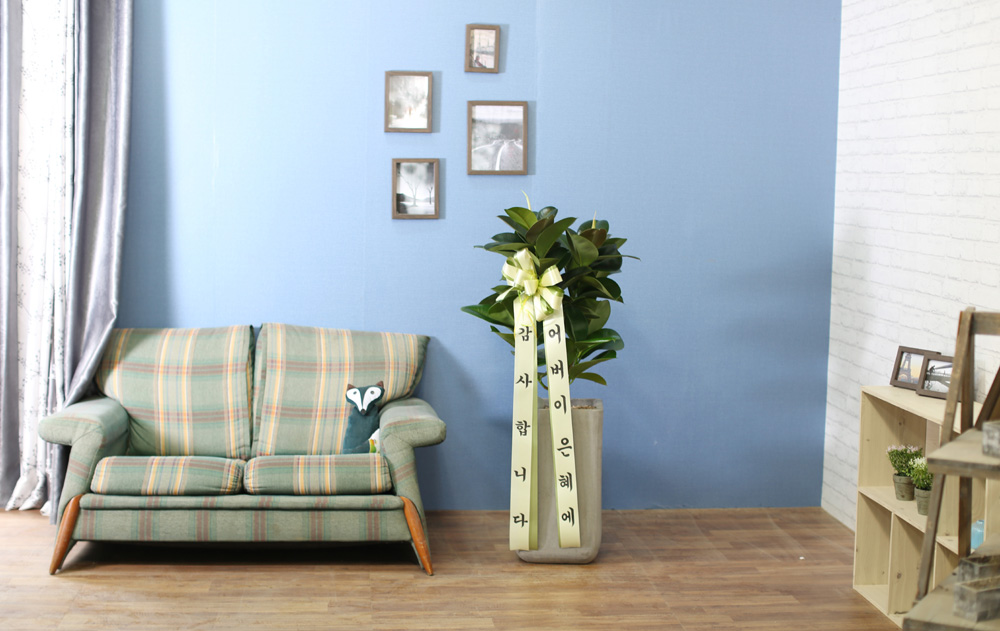 鿪 淯ִ - ǰϼ. ǰ   ɹ