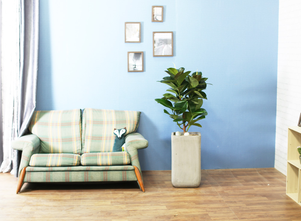 鿪 淯ִ - ǰϼ. ǰ   ɹ