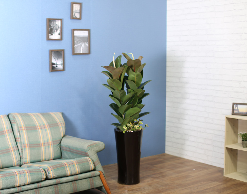 ǳĹ  ƿ -  α  ̱׷ (ȭⰡ   ֽϴ.)  ɹ