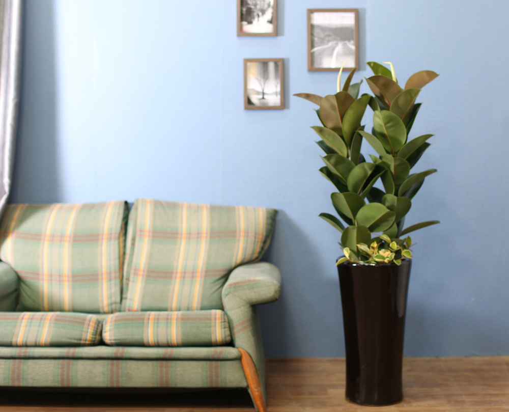 ǳĹ  ƿ -  α  ̱׷ (ȭⰡ   ֽϴ.)  ɹ