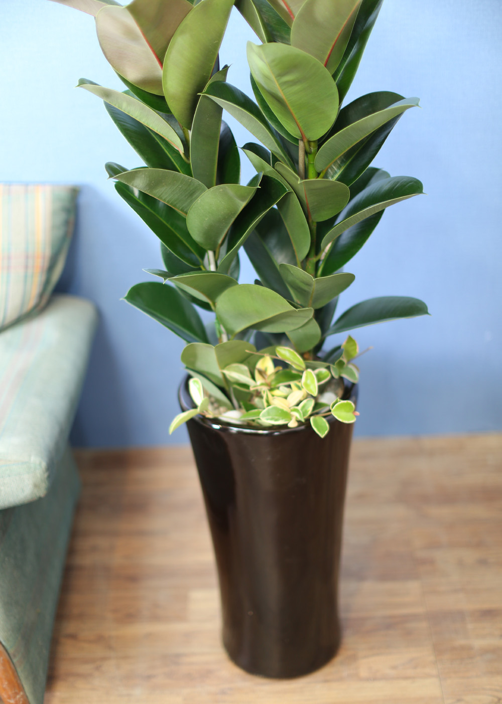 ǳĹ  ƿ -  α  ̱׷ (ȭⰡ   ֽϴ.)  ɹ