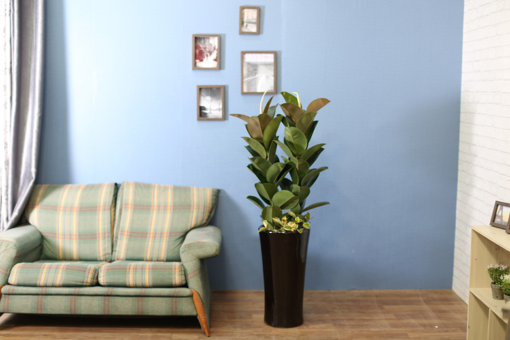 ǳĹ  ƿ -  α  ̱׷ (ȭⰡ   ֽϴ.)  ɹ