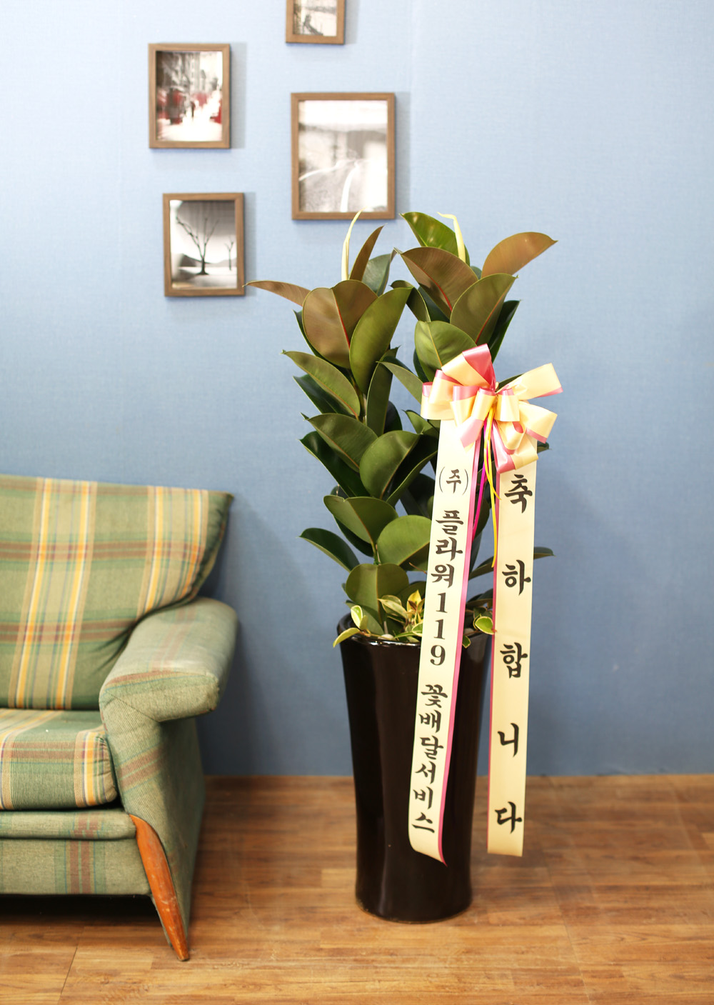 ǳĹ  ƿ -  α  ̱׷ (ȭⰡ   ֽϴ.)  ɹ