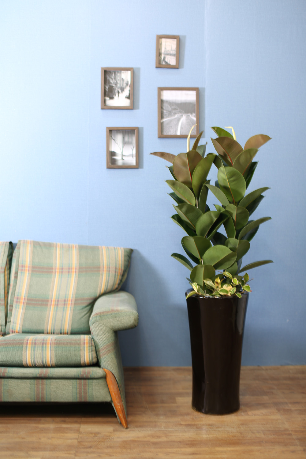 ǳĹ  ƿ -  α  ̱׷ (ȭⰡ   ֽϴ.)  ɹ