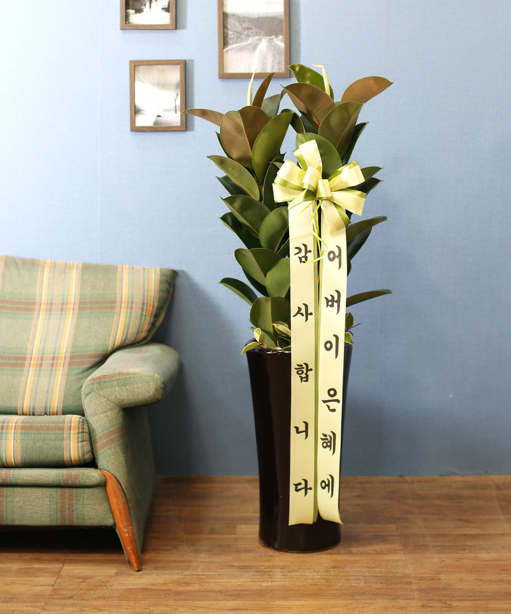 ǳĹ  ƿ -  α  ̱׷ (ȭⰡ   ֽϴ.)  ɹ