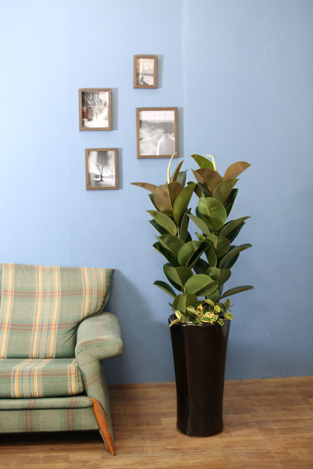 ǳĹ  ƿ -  α  ̱׷ (ȭⰡ   ֽϴ.)  ɹ