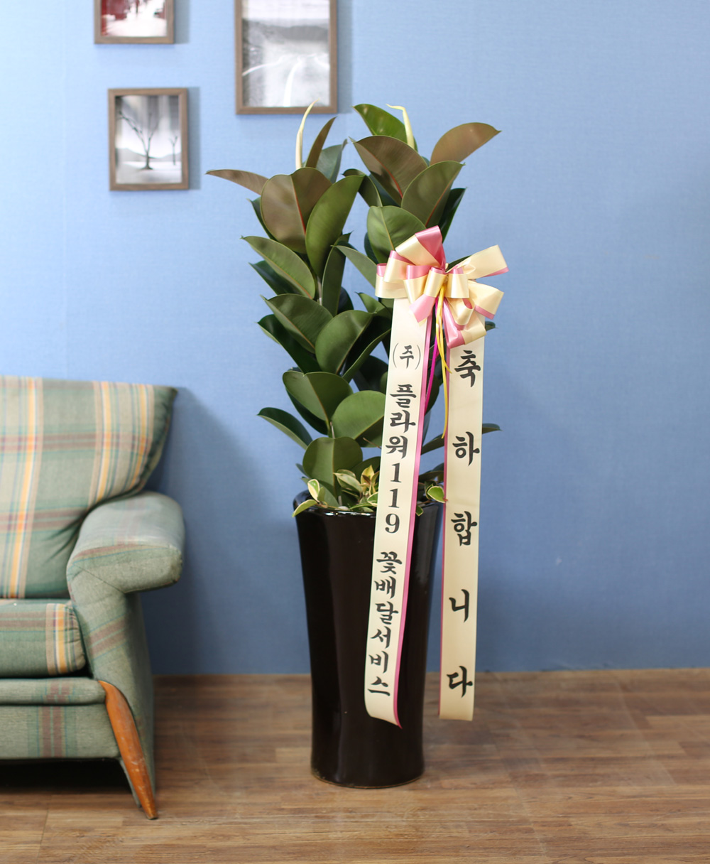 ǳĹ  ƿ -  α  ̱׷ (ȭⰡ   ֽϴ.)  ɹ