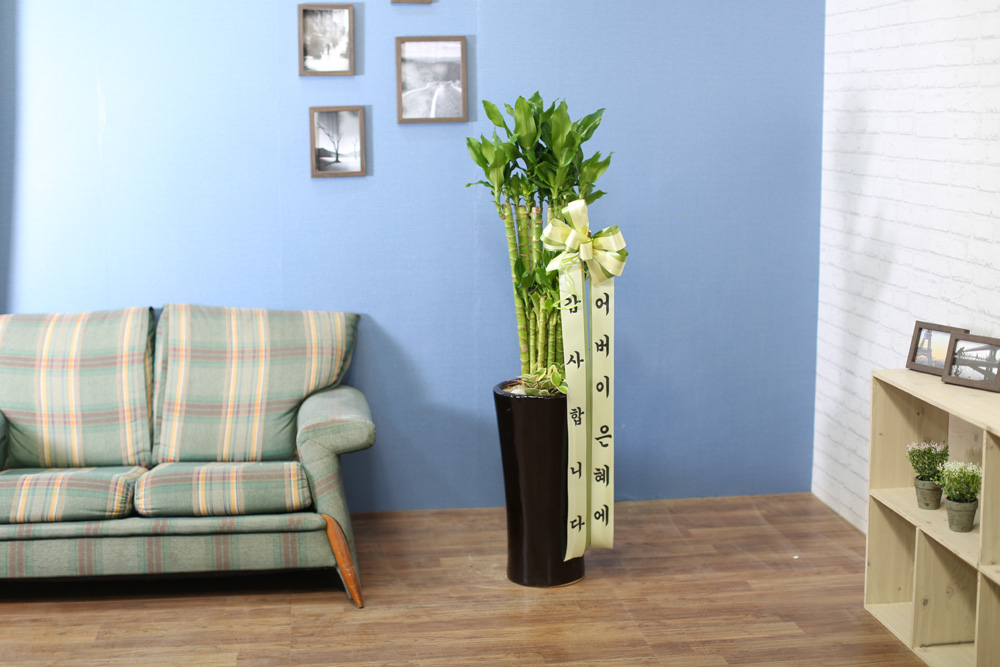 ½Ç³»½Ä¹°Àº »ç¶÷¿¡°Ô ÁÁ¾Æ¿ä - ¼º°ø°ú ºÎ¸¦ ±â¿øÇÏ´Â 2´Ü Ȳ±ÝÁ× ²ÉÁý ²É¹è´Þ