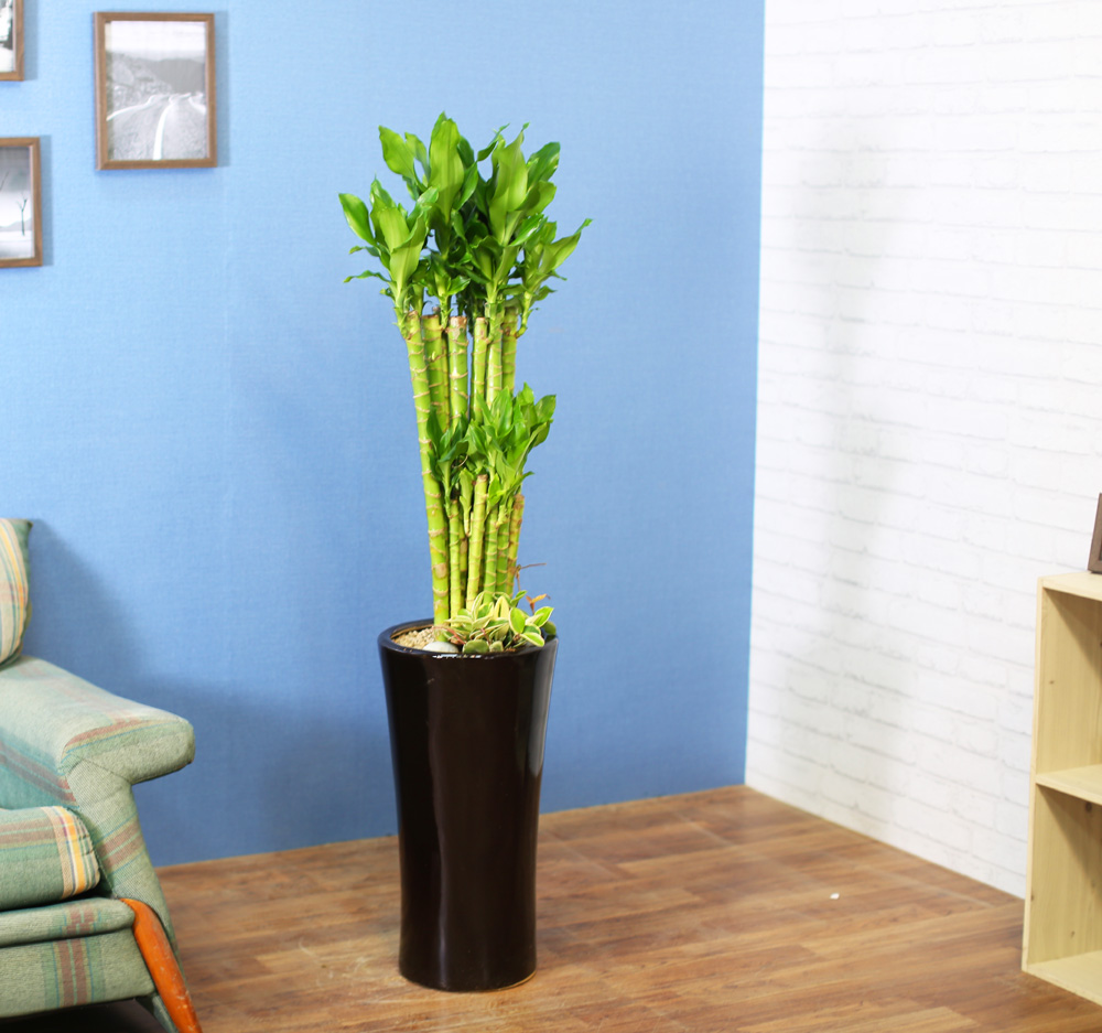 ½Ç³»½Ä¹°Àº »ç¶÷¿¡°Ô ÁÁ¾Æ¿ä - ¼º°ø°ú ºÎ¸¦ ±â¿øÇÏ´Â 2´Ü Ȳ±ÝÁ× ²ÉÁý ²É¹è´Þ