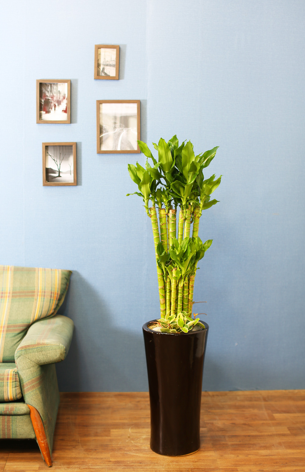 ½Ç³»½Ä¹°Àº »ç¶÷¿¡°Ô ÁÁ¾Æ¿ä - ¼º°ø°ú ºÎ¸¦ ±â¿øÇÏ´Â 2´Ü Ȳ±ÝÁ× ²ÉÁý ²É¹è´Þ