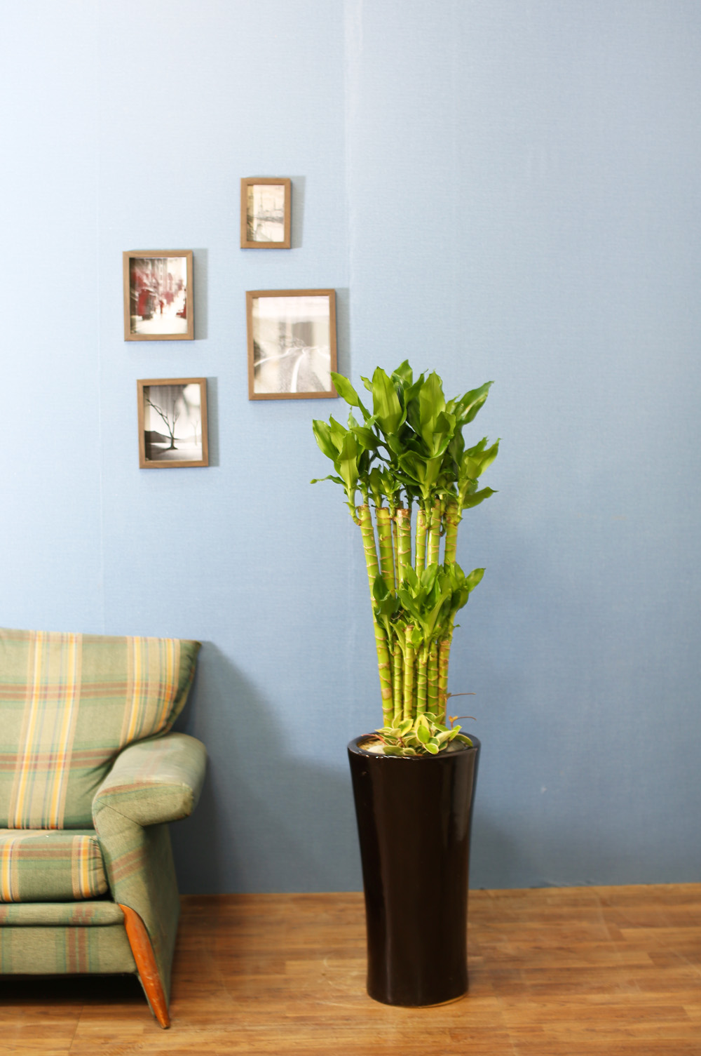 ½Ç³»½Ä¹°Àº »ç¶÷¿¡°Ô ÁÁ¾Æ¿ä - ¼º°ø°ú ºÎ¸¦ ±â¿øÇÏ´Â 2´Ü Ȳ±ÝÁ× ²ÉÁý ²É¹è´Þ