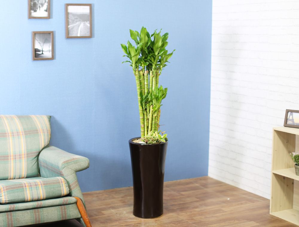 ½Ç³»½Ä¹°Àº »ç¶÷¿¡°Ô ÁÁ¾Æ¿ä - ¼º°ø°ú ºÎ¸¦ ±â¿øÇÏ´Â 2´Ü Ȳ±ÝÁ× ²ÉÁý ²É¹è´Þ