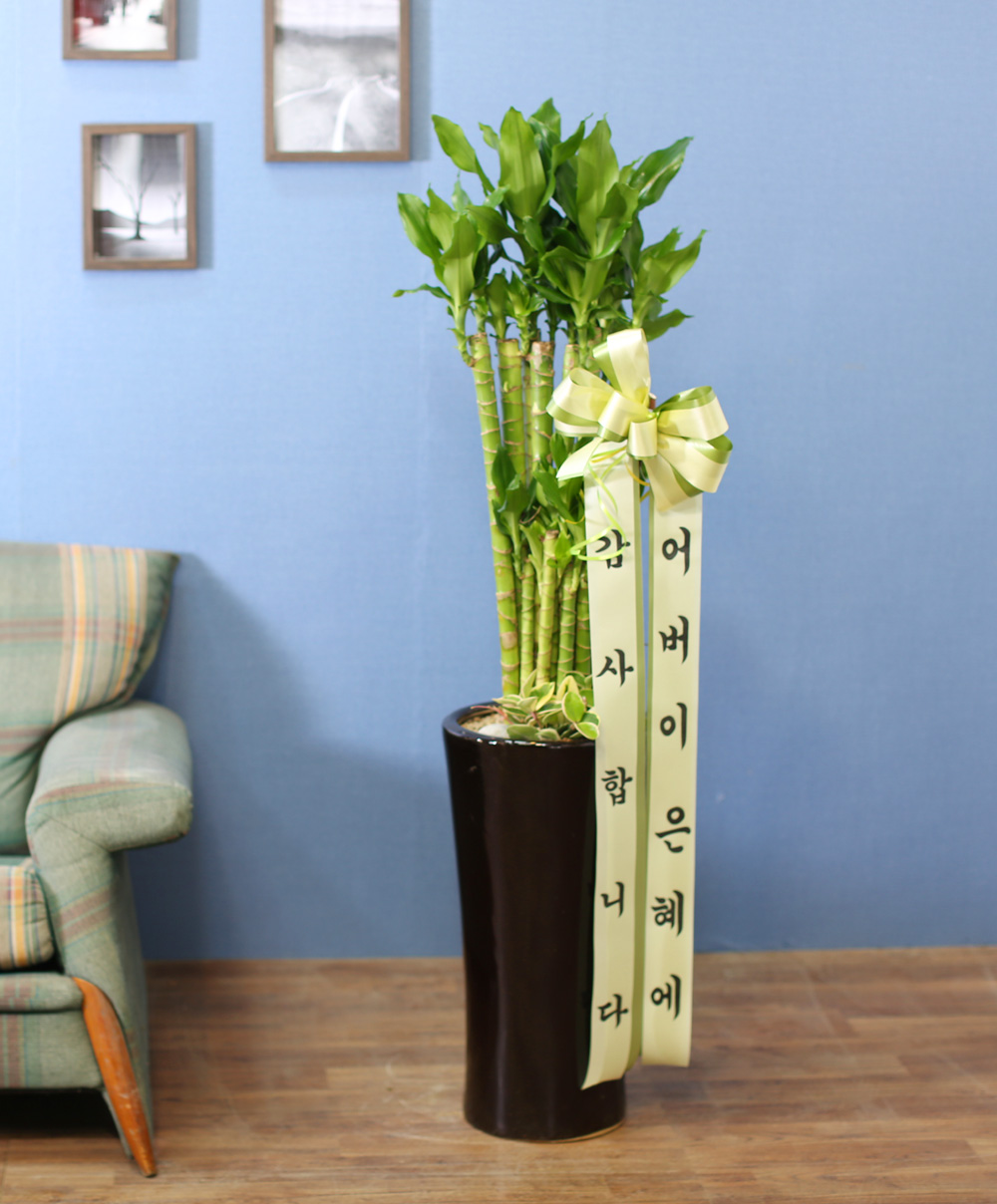 ½Ç³»½Ä¹°Àº »ç¶÷¿¡°Ô ÁÁ¾Æ¿ä - ¼º°ø°ú ºÎ¸¦ ±â¿øÇÏ´Â 2´Ü Ȳ±ÝÁ× ²ÉÁý ²É¹è´Þ