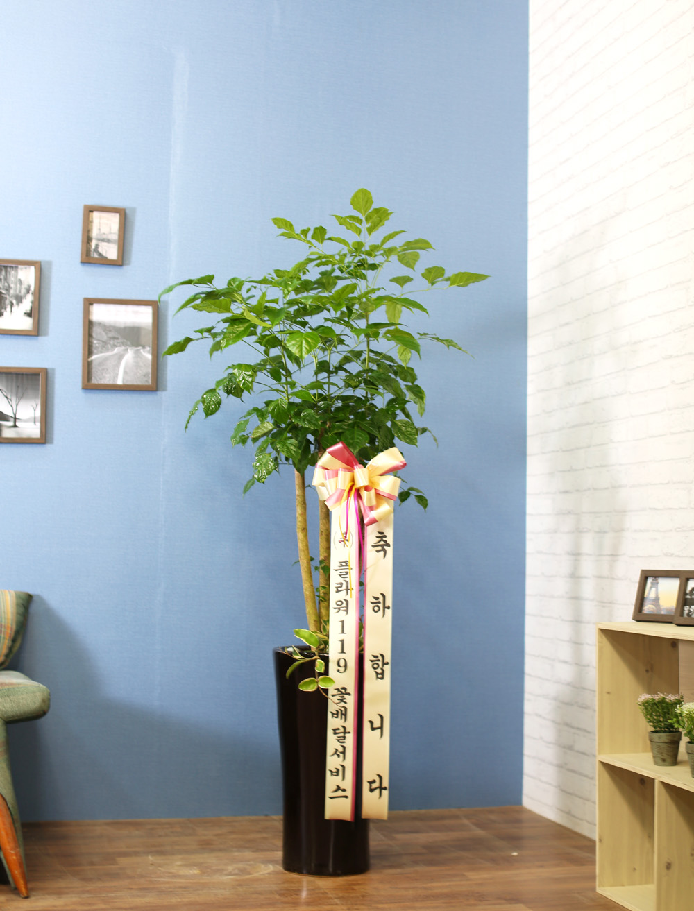 ½Ç³»½Ä¹°Àº »ç¶÷¿¡°Ô ÁÁ¾Æ¿ä - dz¼ºÇÑ »ê¼Ò¸¦ ÁÖ´Â ³ìº¸¼ö(ȱⰡ º¯°æµÉ ¼ö ÀÖ½À´Ï´Ù.)