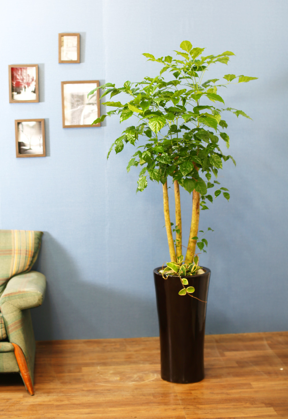 ½Ç³»½Ä¹°Àº »ç¶÷¿¡°Ô ÁÁ¾Æ¿ä - dz¼ºÇÑ »ê¼Ò¸¦ ÁÖ´Â ³ìº¸¼ö(ȱⰡ º¯°æµÉ ¼ö ÀÖ½À´Ï´Ù.)