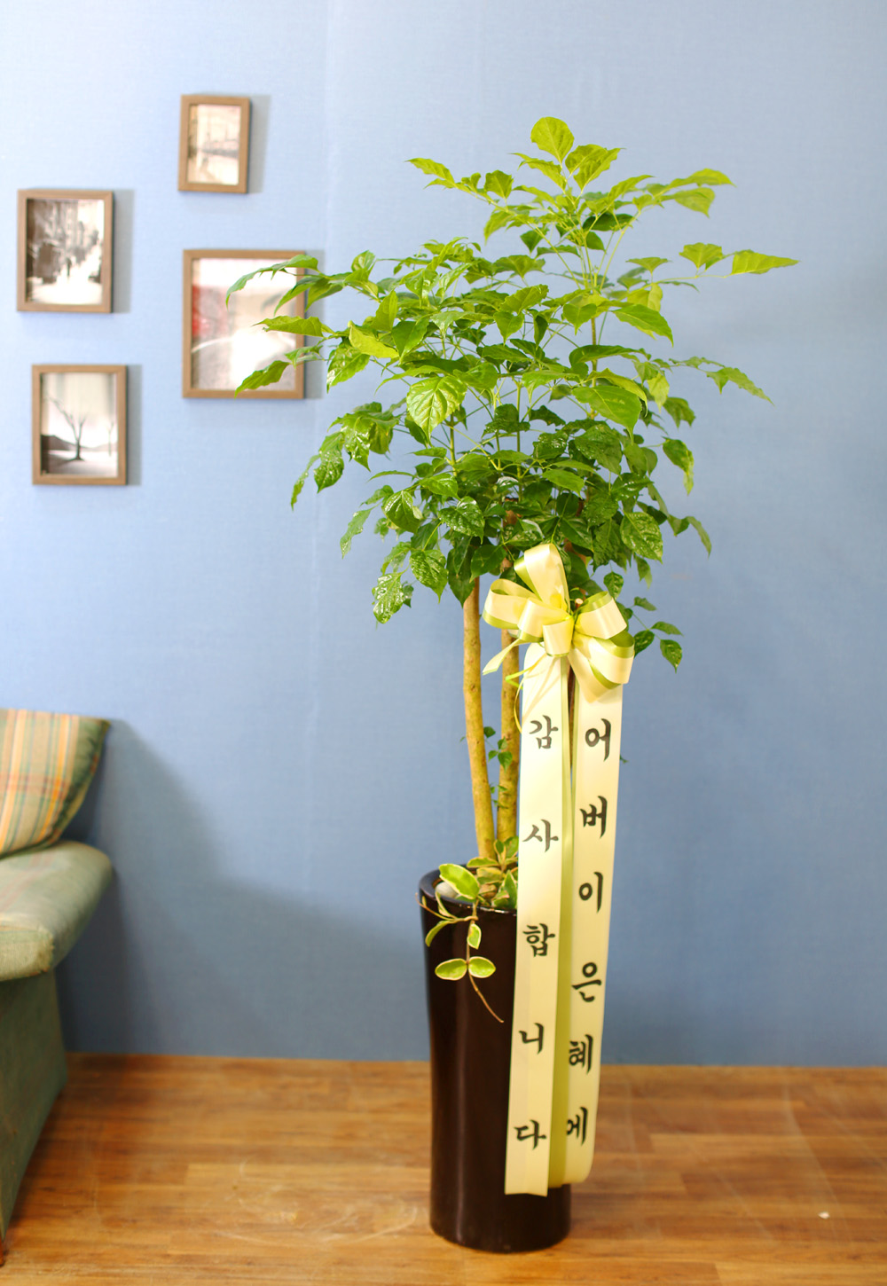 ½Ç³»½Ä¹°Àº »ç¶÷¿¡°Ô ÁÁ¾Æ¿ä - dz¼ºÇÑ »ê¼Ò¸¦ ÁÖ´Â ³ìº¸¼ö(ȱⰡ º¯°æµÉ ¼ö ÀÖ½À´Ï´Ù.)