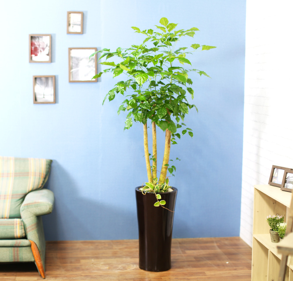 ½Ç³»½Ä¹°Àº »ç¶÷¿¡°Ô ÁÁ¾Æ¿ä - dz¼ºÇÑ »ê¼Ò¸¦ ÁÖ´Â ³ìº¸¼ö(ȱⰡ º¯°æµÉ ¼ö ÀÖ½À´Ï´Ù.)