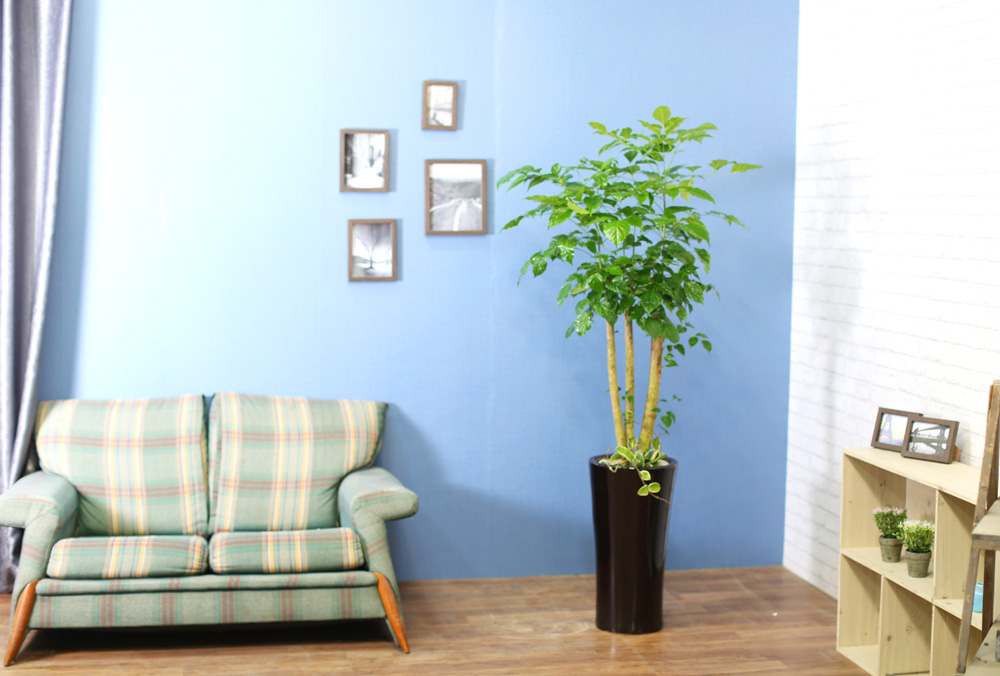 ½Ç³»½Ä¹°Àº »ç¶÷¿¡°Ô ÁÁ¾Æ¿ä - dz¼ºÇÑ »ê¼Ò¸¦ ÁÖ´Â ³ìº¸¼ö(ȱⰡ º¯°æµÉ ¼ö ÀÖ½À´Ï´Ù.)